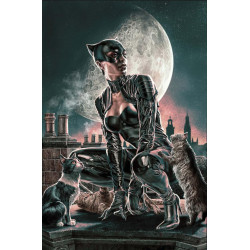 CATWOMAN  71 CVR C LEE BERMEJO CARD STOCK VAR