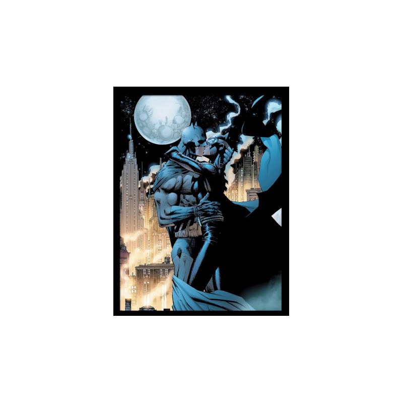 BATMAN COMIC COVERS EMBRACE COLLECTION
