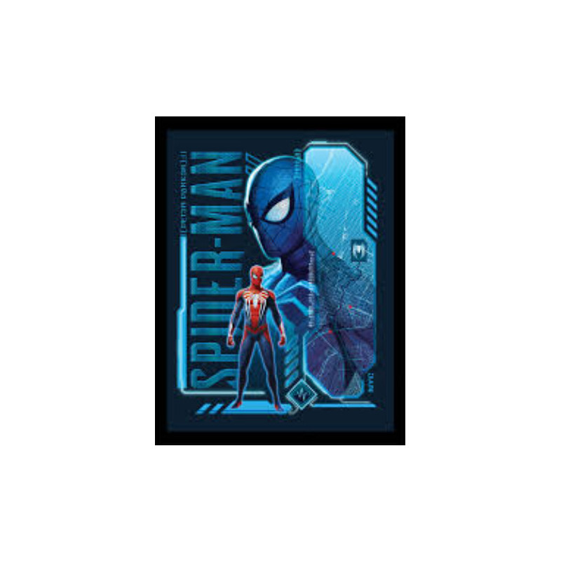 SPIDER MAN PETER COLLECTOR PRINT FRAMED 40 X 30 CM