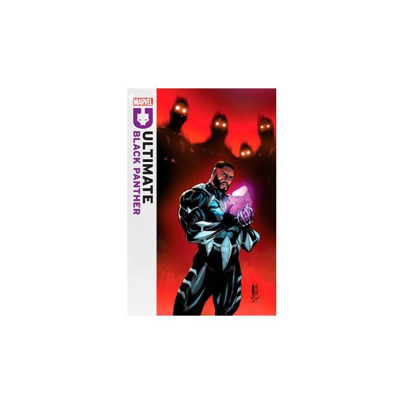 ULTIMATE BLACK PANTHER  13