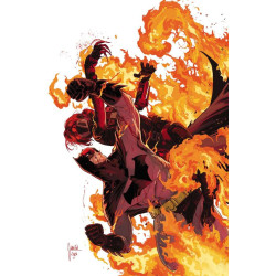 DETECTIVE COMICS  1093 CVR A MIKEL JANIN