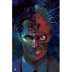 TWOFACE  2  OF 6  CVR B CHRISTIAN WARD CARD STOCK VAR
