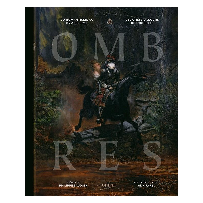 LE LIVRE DES OMBRES  UNE HISTOIRE HANTEE DE L ART DE JOHANN HEINRICH F