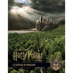 LA COLLECTION HARRY POTTER AU CINEMA  VOL  6  LE CHATEAU DE P