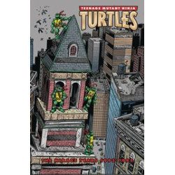 TMNT MIRAGE YEARS  19931995  HC 