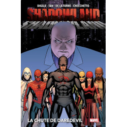 SHADOWLAND  LA CHUTE DE DAREDEVIL NOUVELLE EDITION