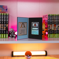 LICENCE DE HUNTER HUNTER X HUNTER