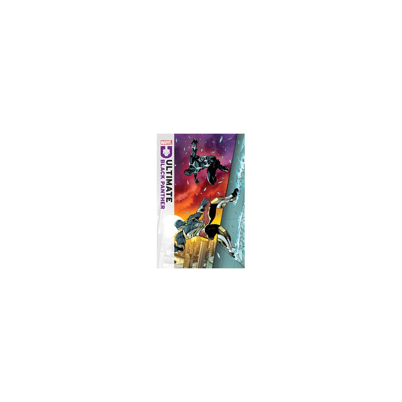 ULTIMATE BLACK PANTHER  14