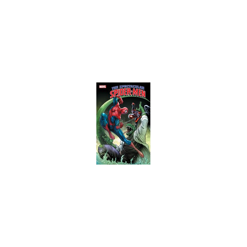 THE SPECTACULAR SPIDERMEN  13