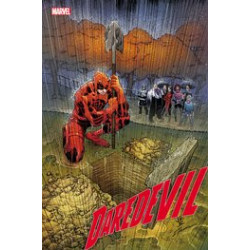 DAREDEVIL  19