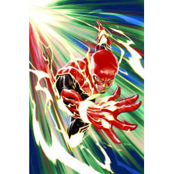 FLASH  19 CVR C STEPHEN SEGOVIA CARD STOCK VAR