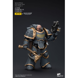 WARHAMMER HORUS HERESY SPACE WOLVES GREY SLAYER 3 12 CM