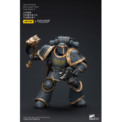 WARHAMMER HORUS HERESY SPACE WOLVES GREY SLAYER 3 12 CM