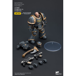 WARHAMMER HORUS HERESY SPACE WOLVES GREY SLAYER 3 12 CM