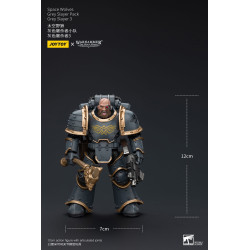 WARHAMMER HORUS HERESY SPACE WOLVES GREY SLAYER 3 12 CM
