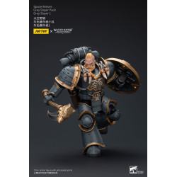 WARHAMMER HORUS HERESY SPACE WOLVES GREY SLAYER PACK 12 CM