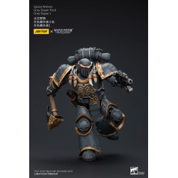 WARHAMMER HORUS HERESY SPACE WOLVES GREY SLAYER PACK 12 CM