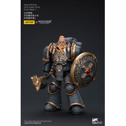 WARHAMMER HORUS HERESY SPACE WOLVES GREY SLAYER PACK 12 CM