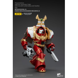 WARHAMMER HORUS HERESY THOUSAND SONS SEKHMET TERMINATOR CABAL COMBI BO