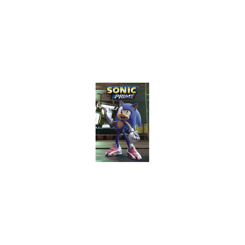 SONIC THE HEDGEHOG SONIC PRIME TP VOL 1