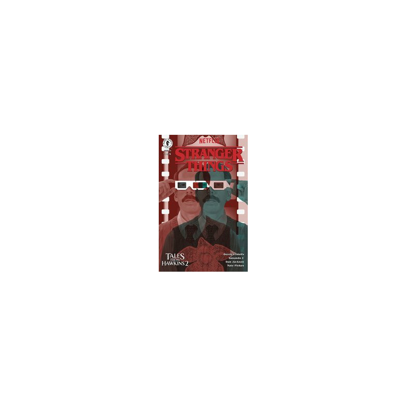 STRANGER THINGS TALES FROM HAWKINS 2  1 CVR D TURNER