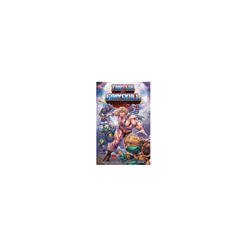 MASTERS OF THE UNIVERSE TMNT TURTLES OF GRAYSKULL GN 