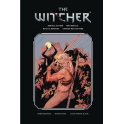 WITCHER LIBRARY ED HC VOL 3