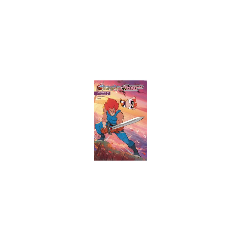 THUNDERCATS POWERPUFF GIRLS  1 CVR C STONE