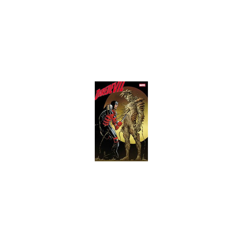 DAREDEVIL  22