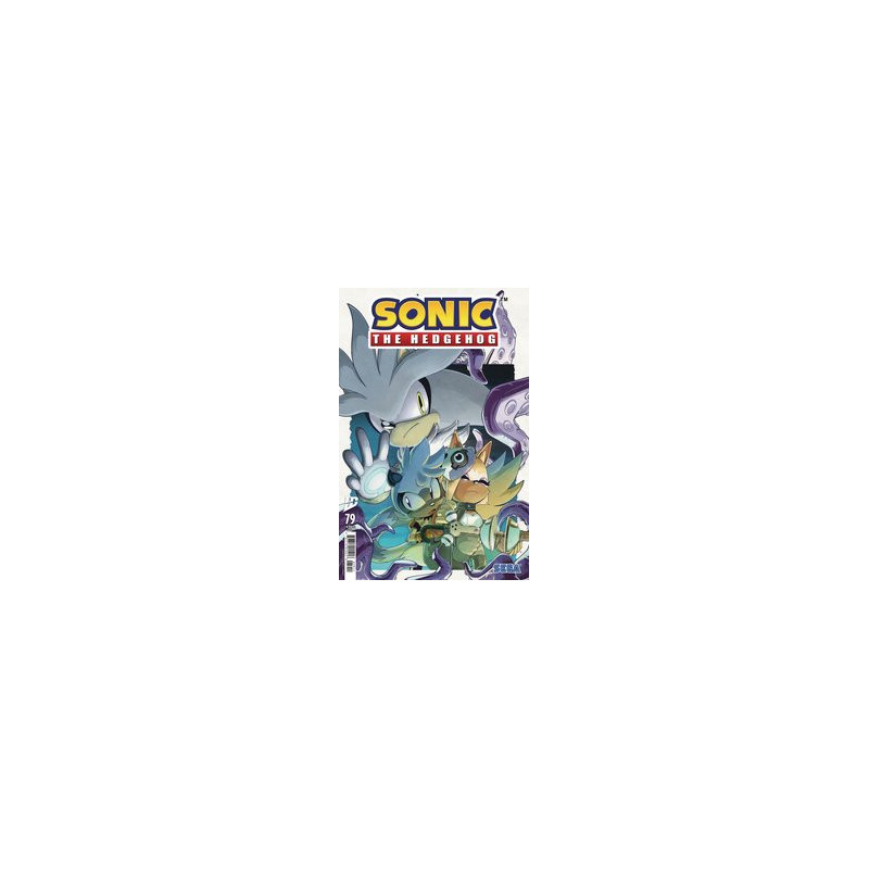 SONIC THE HEDGEHOG  79 CVR A THOMAS