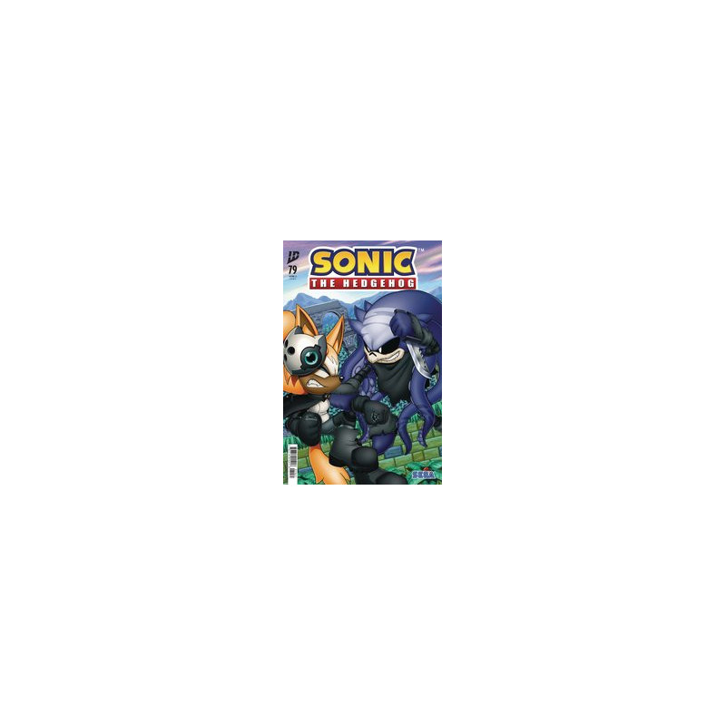 SONIC THE HEDGEHOG  79 CVR B MCGRATH