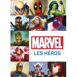 MINI POP  MARVEL  LES HEROS