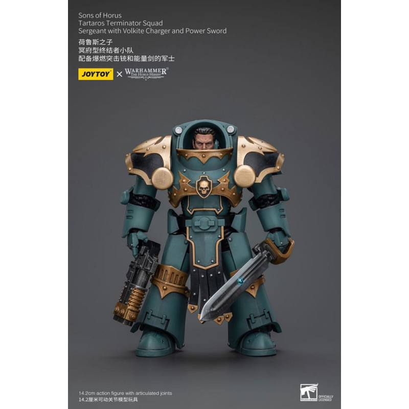 TARTAROS TERM SQUAD SERGEANT WITH VOLKITE CHARGER AND POWER WARHAMMER 