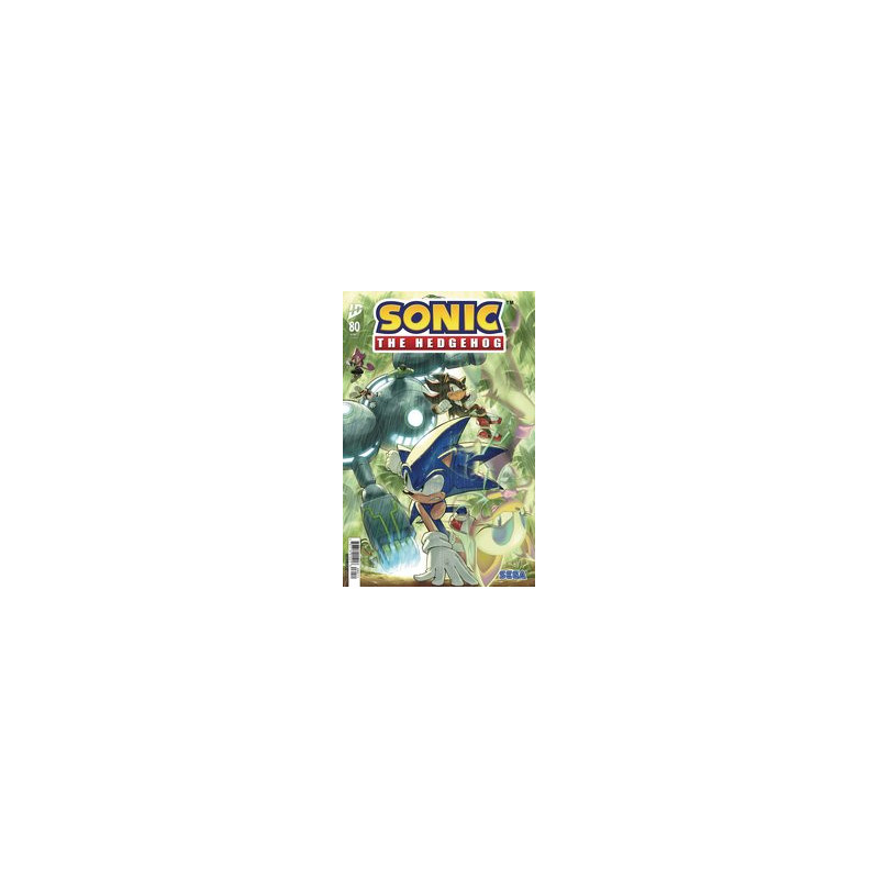 SONIC THE HEDGEHOG  80 CVR A HAMMERSTROM