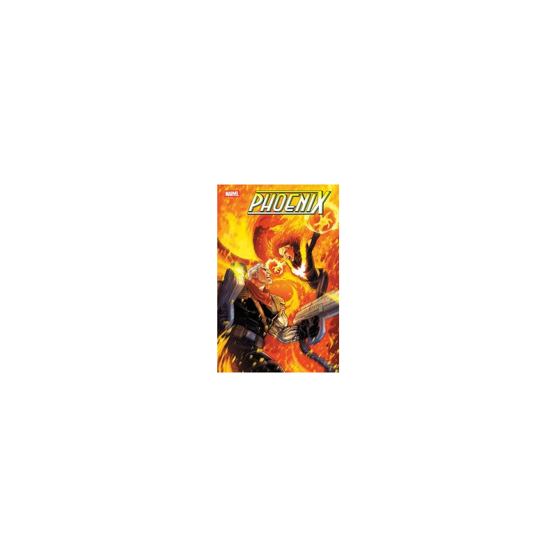 PHOENIX  13