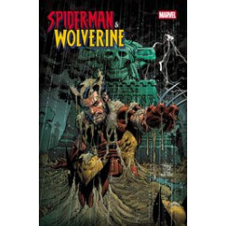 SPIDERMAN   WOLVERINE  3 DAN PANOSIAN VAR