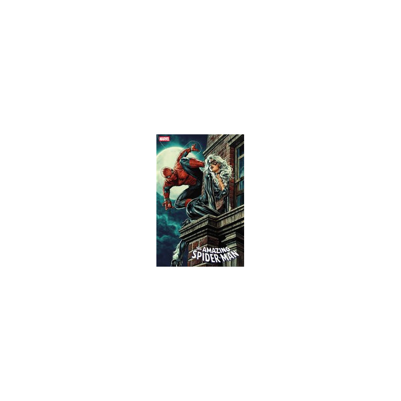AMAZING SPIDERMAN  7 LEE BERMEJO BLACK CAT VAR