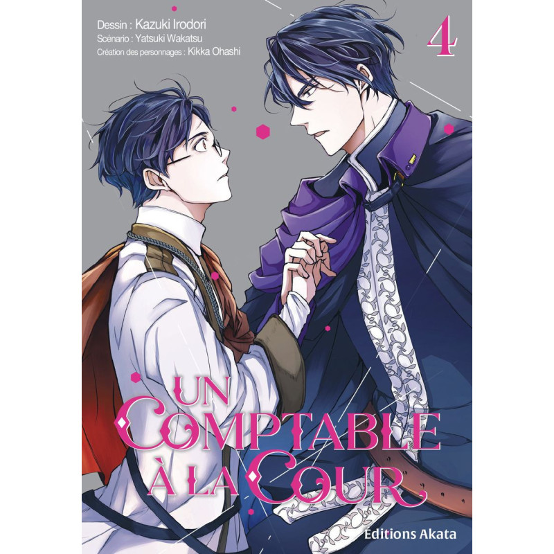 UN COMPTABLE A LA COUR  TOME 4
