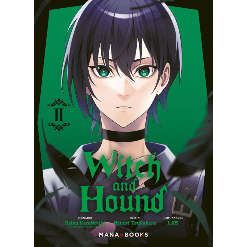 WITCH AND HOUND T02