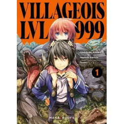 VILLAGEOIS LVL 999 T01 A 3 EUROS