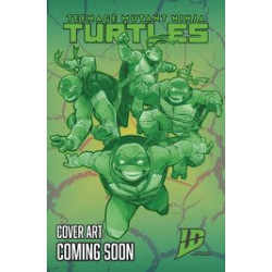 TEENAGE MUTANT NINJA TURTLES 2024  12 CVR D MEYERS