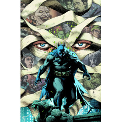 BATMAN  163 CVR L GARY FRANK CARD STOCK VAR