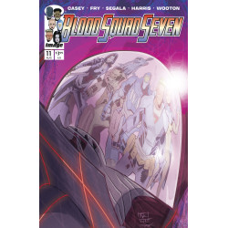 BLOOD SQUAD SEVEN  11 CVR A PAUL FRY  MR 