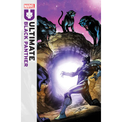 ULTIMATE BLACK PANTHER  20