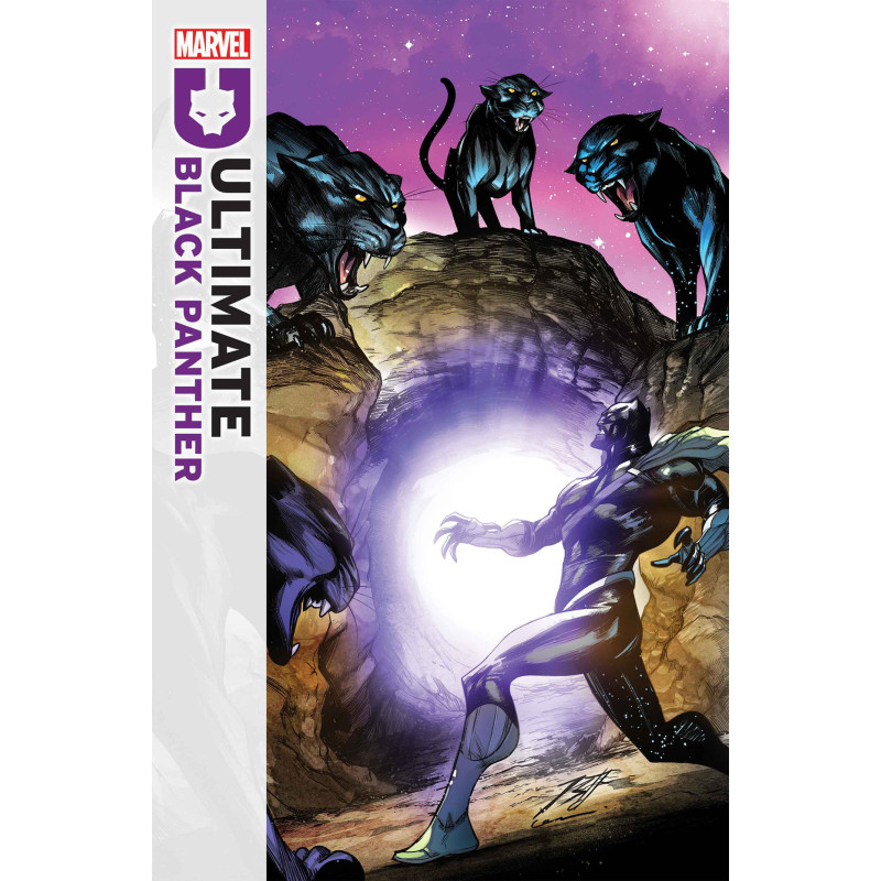 ULTIMATE BLACK PANTHER  20