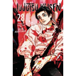 JUJUTSU KAISEN GN VOL 28