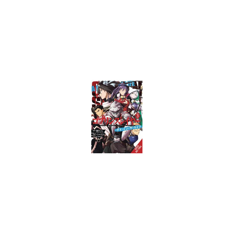 GOBLIN SLAYER DAY IN LIFE GN VOL 3
