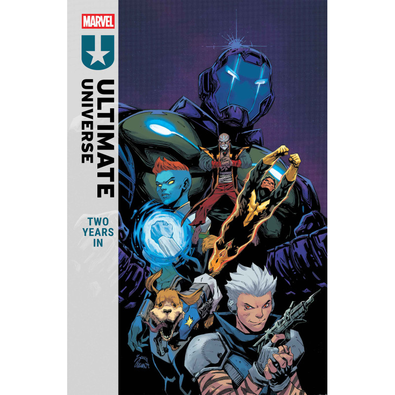 ULTIMATE UNIVERSE  TWO YEARS IN  1 ONESHOT CVR A RYAN STEGMAN