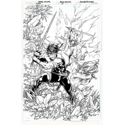 TITANS  29 CVR B BRAD WALKER CARD STOCK VAR  DC K O  