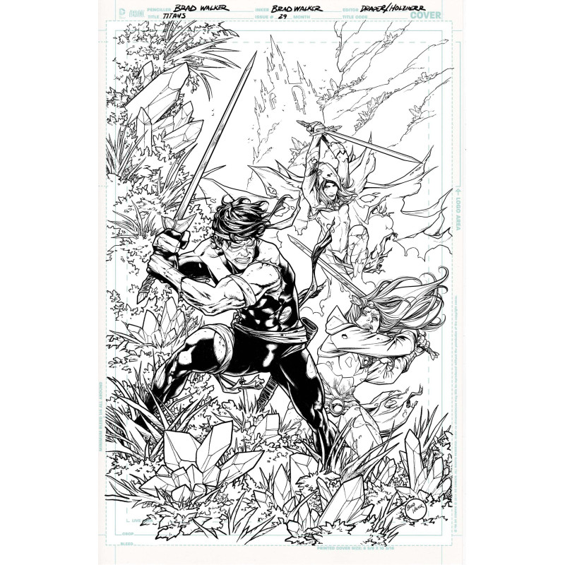 TITANS  29 CVR B BRAD WALKER CARD STOCK VAR  DC K O  